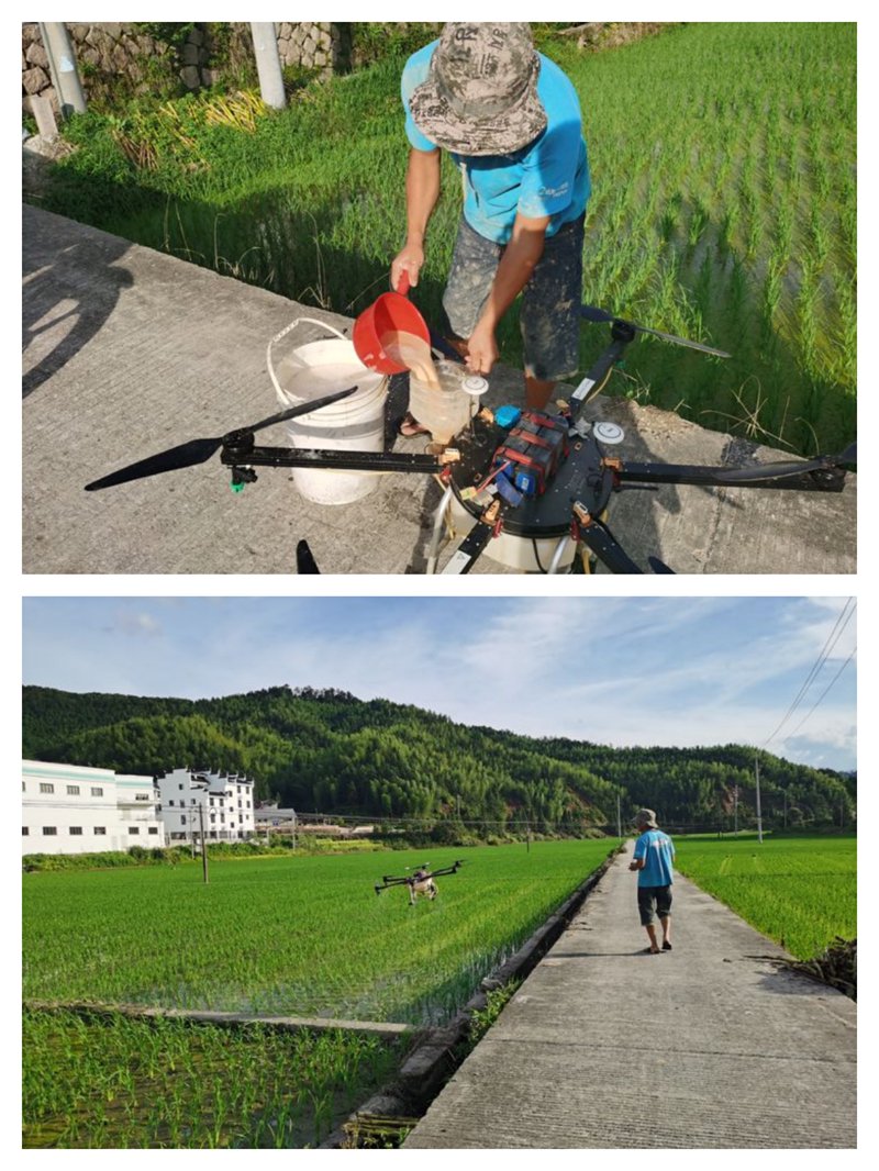 项目现场管理方案:提升生产力的关键